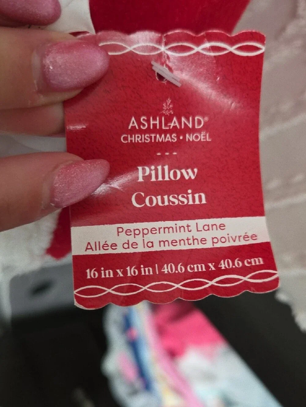 Ashland | Santa Face Pillow